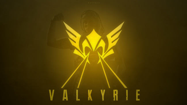 Обои картинки фото tom clancy`s rainbow six,  siege, видео игры, герб