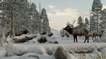 Картинка 3д+графика животные+ animals олени