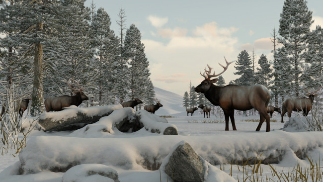 Обои картинки фото 3д графика, животные , animals, олени