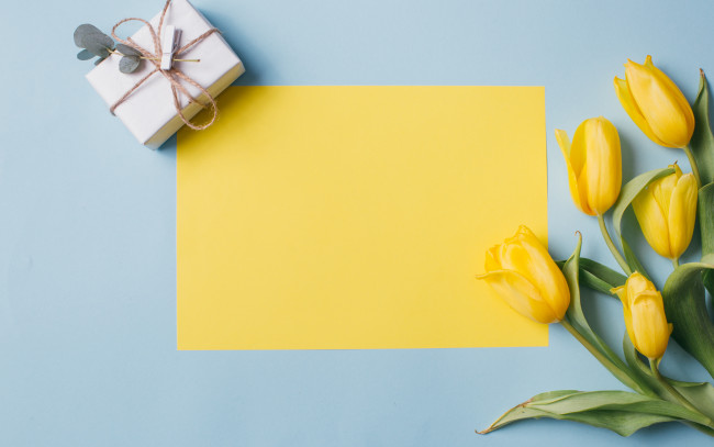 Обои картинки фото праздничные, подарки и коробочки, подарок, цветы