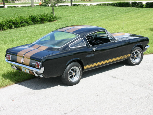 Обои картинки фото автомобили, ford