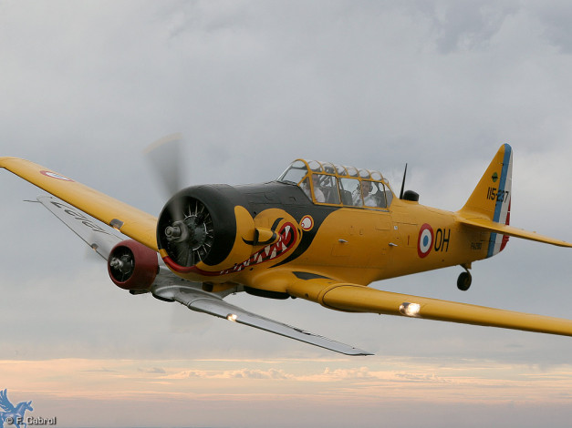 Обои картинки фото авиация, лёгкие, одномоторные, самолёты