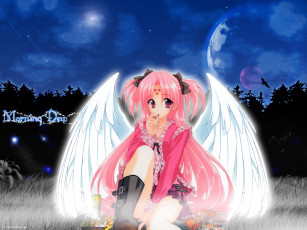 Картинка аниме girls bravo