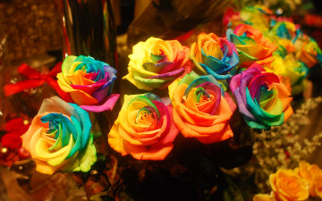 обоя цветы, розы