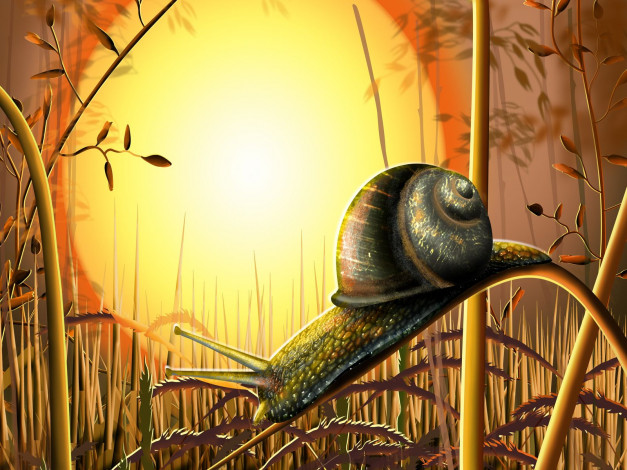 Обои картинки фото векторная, графика