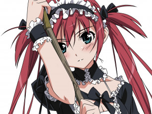 Картинка аниме queen`s blade