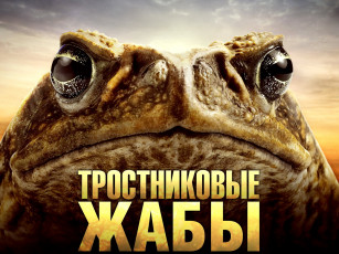 Картинка cane toads the conquest кино фильмы