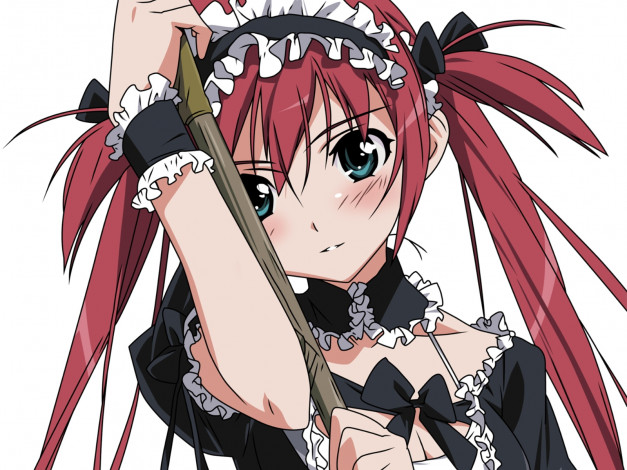 Обои картинки фото аниме, queen`s, blade