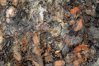 Картинка разное текстуры разводы камень