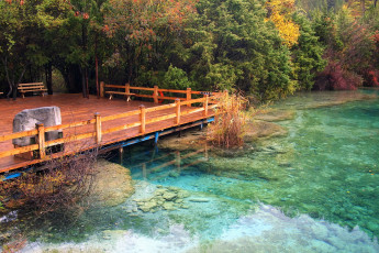Картинка китай jiuzhaigou valley sparking lake природа реки озера озеро тропики