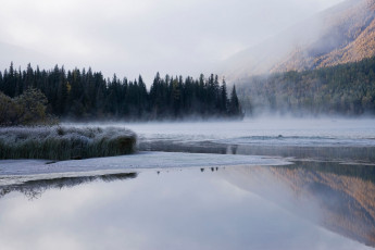 Картинка природа реки озера