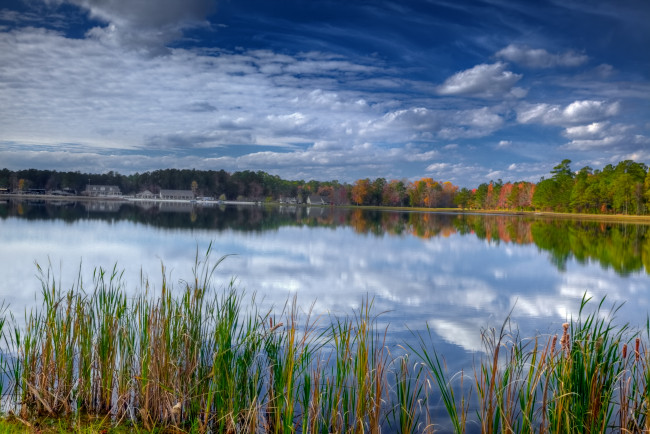 Обои картинки фото природа, реки, озера, вода, отражение, небо, камыш