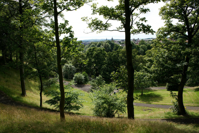 Обои картинки фото шотландия, природа, парк