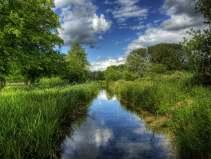 Картинка river itchen winchester англия природа реки озера берег камыши река