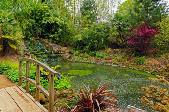 Картинка secret garden blenheim palace англия природа парк река растения сад мостик
