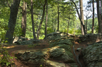 Картинка massachusetts usa природа лес