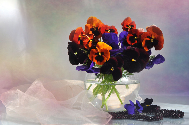 Обои картинки фото цветы, анютины, глазки, садовые, фиалки, букет, бархатный