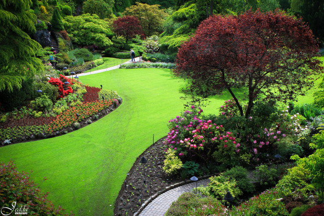 Обои картинки фото butchart, gardens, canada, природа, парк, клумбы, деревья, кусты, дорожки, цветы