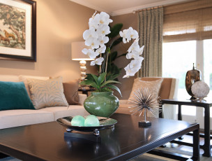 Картинка цветы орхидеи цветение белая орхидея цветок комната