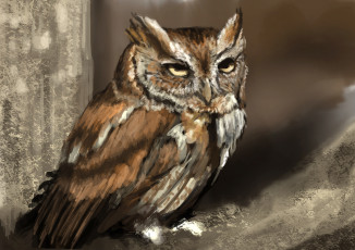 Картинка рисованные животные +птицы +совы +филины дерево птица сова