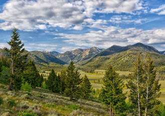 Картинка природа пейзажи лес горы долина