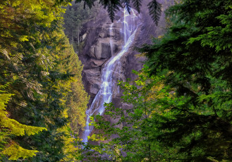 Картинка природа водопады водопад река лес