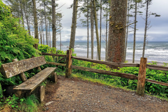 Картинка природа побережье берег океан скамейка площадка