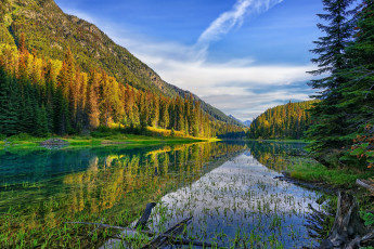 Картинка природа реки озера горы лес река облака