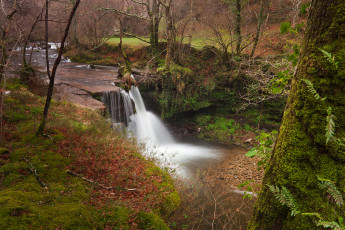 Картинка природа водопады водопад река лес