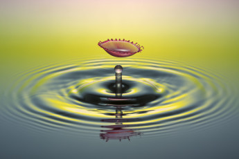 Картинка разное капли +брызги +всплески развод брызг капля вода