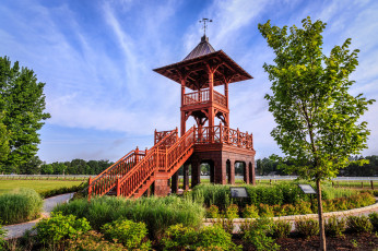 Картинка природа парк лужайка горка