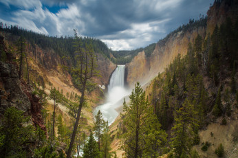 Картинка природа водопады canyon junction wyoming usа lower falls yellowstone national park водопад скала лес