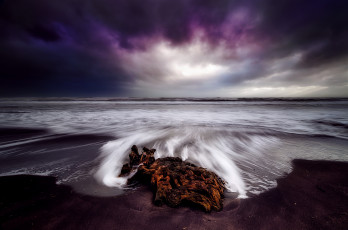 Картинка природа побережье новая зеландия пляж коряга море небо осень выдержка