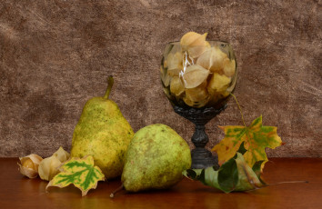 Картинка еда груши листья цветы бокал груша