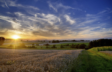 Картинка природа восходы закаты трава тучи солнце равнина