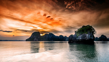 обоя природа, моря, океаны, скалы, море, деревья, закат