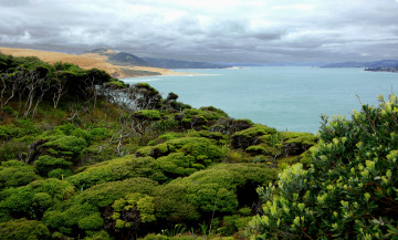 Картинка природа реки озера пейзаж море тропики деревья облака небо