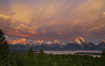 Картинка природа реки озера штат вайоминг сша национальный парк гранд-титон лес небо горы утро озеро