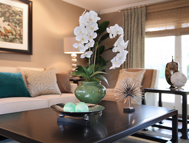 Обои картинки фото цветы, орхидеи, цветение, белая, орхидея, цветок, комната