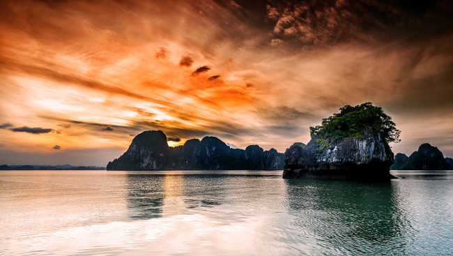 Обои картинки фото природа, моря, океаны, скалы, море, деревья, закат