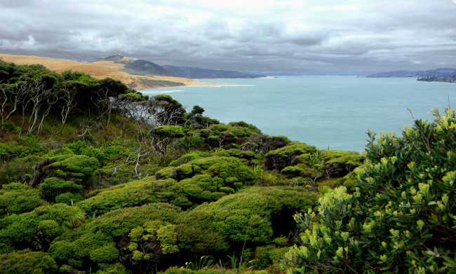 Обои картинки фото природа, реки, озера, пейзаж, море, тропики, деревья, облака, небо