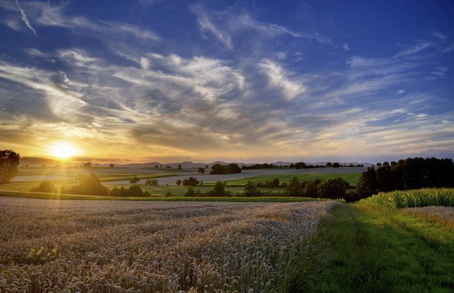 Обои картинки фото природа, восходы, закаты, трава, тучи, солнце, равнина