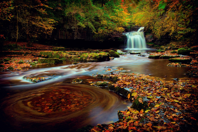 Обои картинки фото природа, водопады, северная, англия, йоркшир, лес, водопад, осень, октябрь, выдержка, листва