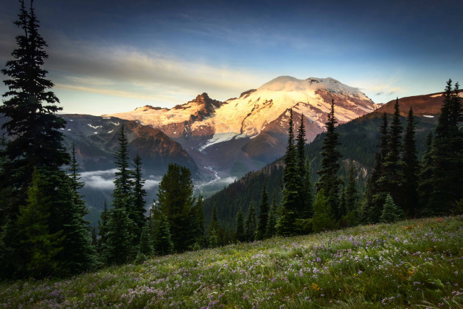 Обои картинки фото природа, горы, луг, цветы, пейзаж