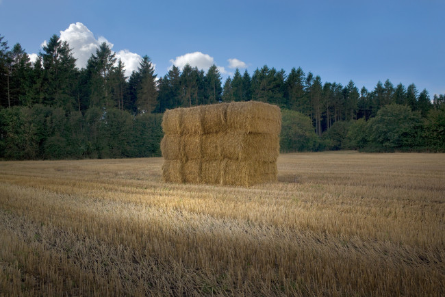 Обои картинки фото природа, поля, тюки, небо, поле, сено