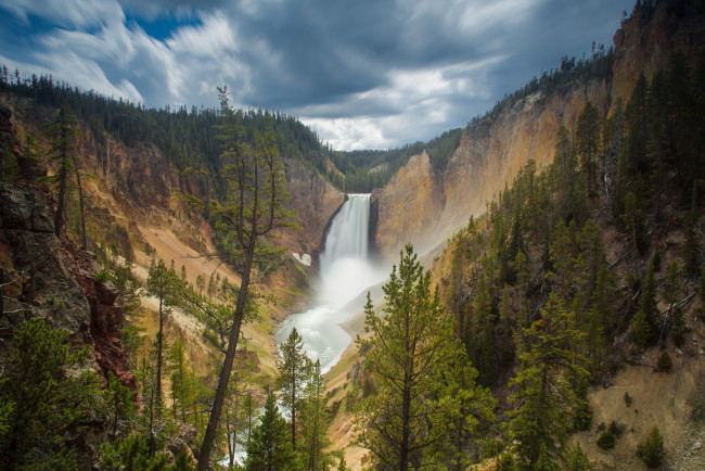 Обои картинки фото природа, водопады, canyon, junction, wyoming, usа, lower, falls, yellowstone, national, park, водопад, скала, лес
