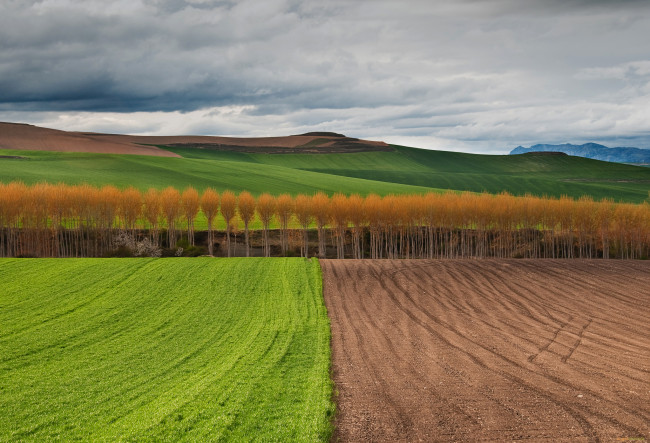 Обои картинки фото природа, поля, осень, деревья, небо