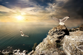 Картинка природа восходы закаты landscape nature sunset камни море небо закат sky sea