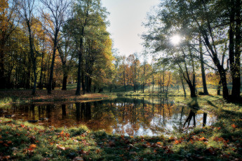 Картинка природа реки озера простор