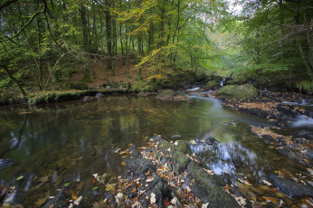 Картинка природа реки озера простор